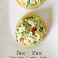 Tex-Mex Chicken Salad Bites #OXO #AppetizerWeek