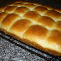 Overnight Refrigerator Yeast Rolls