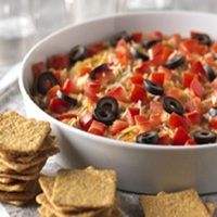 Tex-Mex Chicken Dip