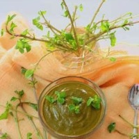 Pudina/Mint Chutney