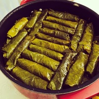 Vegetarian Stuffed grape leaves. Also known as Turkish Sarma or Greek Dolmas (olive oil and rice) Vegetarian Stuffed grape leaves. Also known as Turkish Sarma or Greek Dolmas (olive oil and rice)