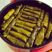 Vegetarian Stuffed grape leaves. Also known as Turkish Sarma or Greek Dolmas (olive oil and rice)