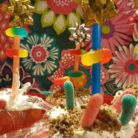 Edible Flower Garden: Crafts for Kids and the Kid in Us All Edible Flower Garden: Crafts for Kids and the Kid in Us All